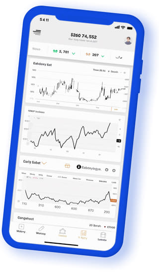 Nitida Canjeura digital web application on mobile device